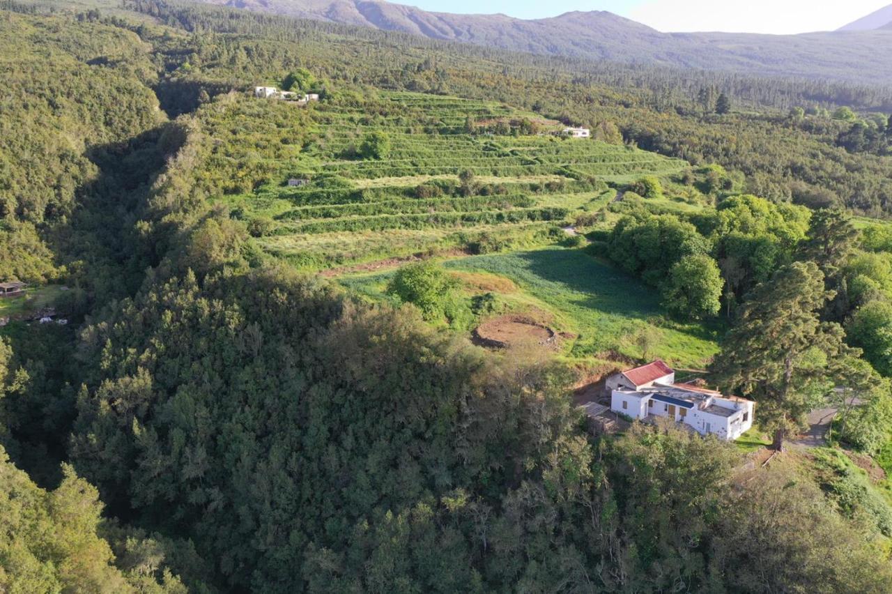 El Pino Centenario 8 La Orotava Exterior foto